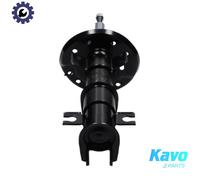 KAVO PARTS SSA-10841 Shock absorber
