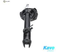 KAVO PARTS SSA-10860 Shock absorber