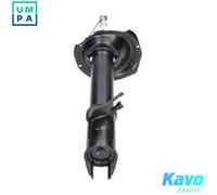 KAVO PARTS SSA-10860 Shock absorber