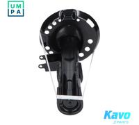 KAVO PARTS SSA-10864 Shock absorber