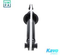KAVO PARTS SSA-10900 Shock absorber