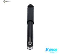 KAVO PARTS SSA-10934 Shock absorber