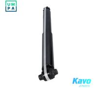KAVO PARTS SSA-10987 Shock absorber