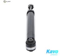 KAVO PARTS SSA-11072 Shock absorber