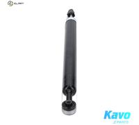 KAVO PARTS SSA-11075 Shock absorber