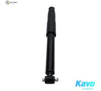 Kavo Parts Shock Absorber SSA-11082 Rear Axle Bottom Eye for Mercedes-Benz