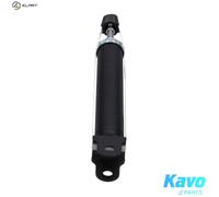 KAVO PARTS SSA-11099 Shock absorber