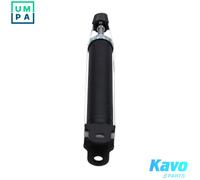 KAVO PARTS SSA-11099 Shock absorber