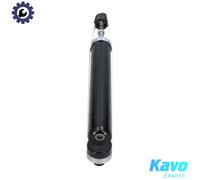 KAVO PARTS SSA-11101 Shock absorber