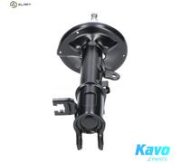 KAVO PARTS SSA-11234 Shock absorber