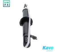 KAVO PARTS SSA-11248 Shock absorber