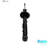KAVO PARTS SSA-11262 Shock absorber