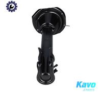 KAVO PARTS SSA-11283 Shock absorber