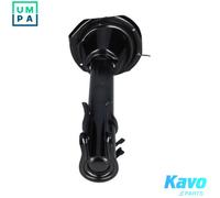 KAVO PARTS SSA-11283 Shock absorber