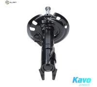 KAVO PARTS SSA-11449 Shock absorber