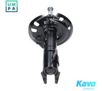 Kavo Parts Shock Absorber SSA-11449 – for Suzuki & Toyota 2ZR-FXE 1.8L, Swace 2.0L 4-cyl