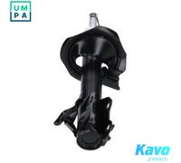 Kavo Parts Shock Absorber SSA-11484 - Top pin - Fits NISSAN NV200/EVALIA (1.5L)