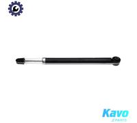 KAVO PARTS SSA-11499 Shock absorber