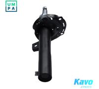 KAVO PARTS SSA-11516 Shock absorber