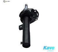 Kavo Parts Shock Absorber SSA-11516 – For Skoda/Seat/Cupra 1.0L (3cyl), 2.0L DLAA/CHZJ/DKRF/DUSA