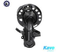 Shock absorber Front Axle Right Top pin SSA-2007 KAVO PARTS for HONDA
