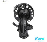 KAVO PARTS SSA-2007 Shock absorber