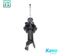 KAVO PARTS SSA-2022 Shock absorber