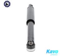 Kavo Parts Shock Absorber SSA-2035 - Rear Axle - Honda Civic VIII (R18A1/R18A2 1.8L, R16A1 1.6L)