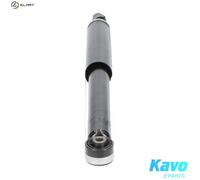 Kavo Parts Shock Absorber SSA-2035 - Rear Axle - Honda Civic VIII (R18A1/R18A2 1.8L, R16A1 1.6L)