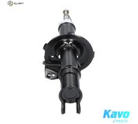 KAVO PARTS SSA-3030 Shock absorber