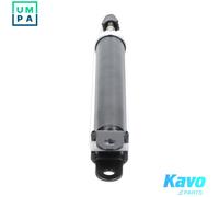 Shock absorber Rear Axle Top pin SSA-3031 KAVO PARTS for HYUNDAI KIA
