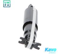 Shock absorber Front Axle Top pin SSA-3032 KAVO PARTS for MITSUBISHI HYUNDAI