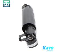 KAVO PARTS SSA-3034 Shock absorber