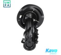 KAVO PARTS SSA-3036 Shock absorber
