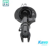 KAVO PARTS SSA-4003 Shock absorber