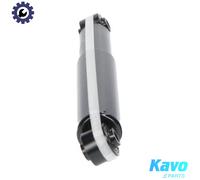 SHOCK ABSORBER SSA-4007 FOR KIA D4CB 2.5L G4JS 2.4L 4cyl SORENTO IG6CU 3.5L