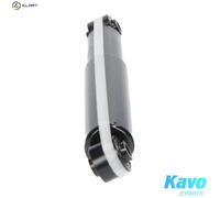 SHOCK ABSORBER SSA-4007 FOR KIA D4CB 2.5L G4JS 2.4L 4cyl SORENTO IG6CU 3.5L
