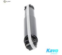 SHOCK ABSORBER SSA-4007 FOR KIA D4CB 2.5L G4JS 2.4L 4cyl SORENTO IG6CU 3.5L