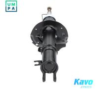 KAVO PARTS SSA-4010 Shock absorber