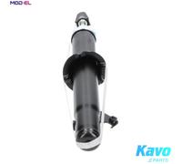 KAVO PARTS SSA-4508 Shock absorber