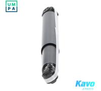 KAVO PARTS SSA-4519 Shock absorber