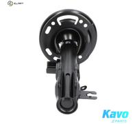 KAVO PARTS SSA-4532 Shock absorber