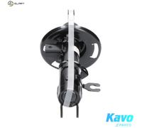 SHOCK ABSORBER SSA-4549 FOR MAZDA 3/Hatchback/Van P5Y1/P5Y5/P5Y4/P5Z3 1.5L 4cyl