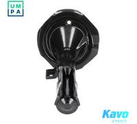 KAVO PARTS SSA-5518 Shock absorber