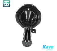 KAVO PARTS SSA-5519 Shock absorber