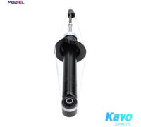 KAVO PARTS SSA-5523 Shock absorber