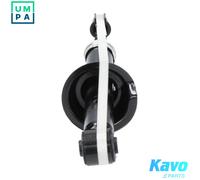KAVO PARTS SSA-5529 Shock absorber