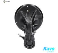 KAVO PARTS SSA-5536 Shock absorber