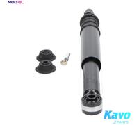 KAVO PARTS SSA-6504 Shock absorber