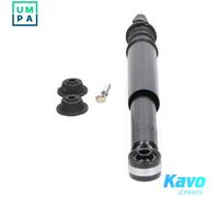 KAVO PARTS SSA-6504 Shock absorber